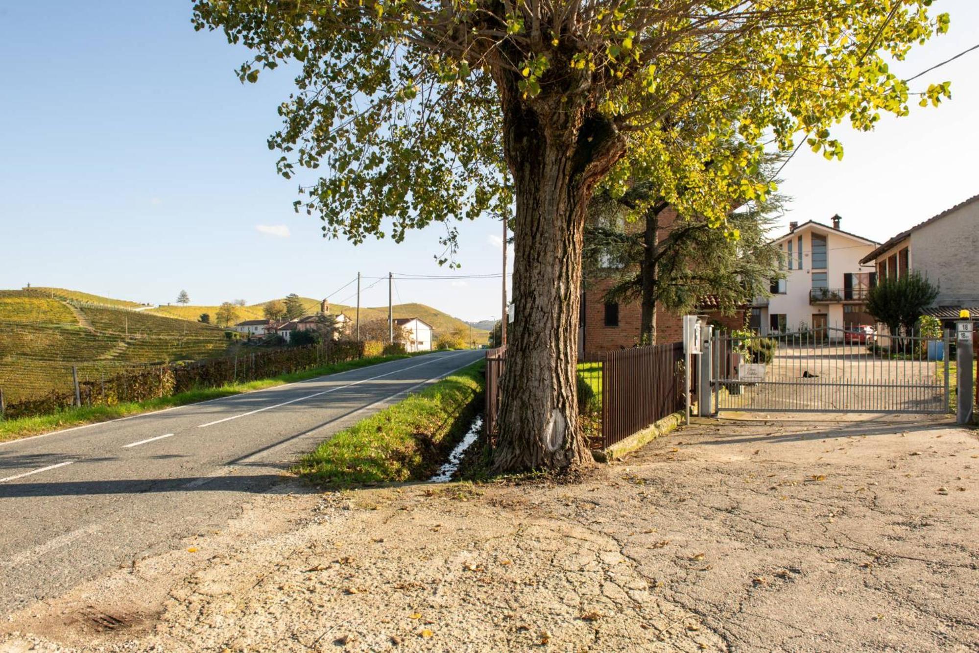 Casa Rubbo - Appartamento In Collina 'Monviso' Alba  Exterior photo
